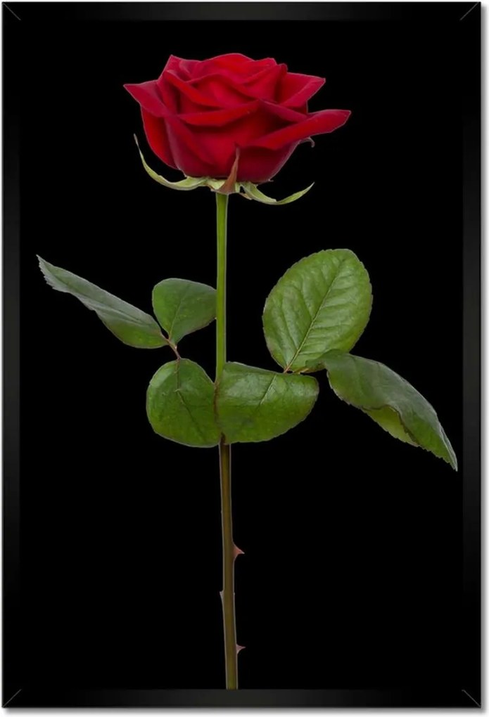 Poszterek keretben 40x60 Nőnap Ajándék Love