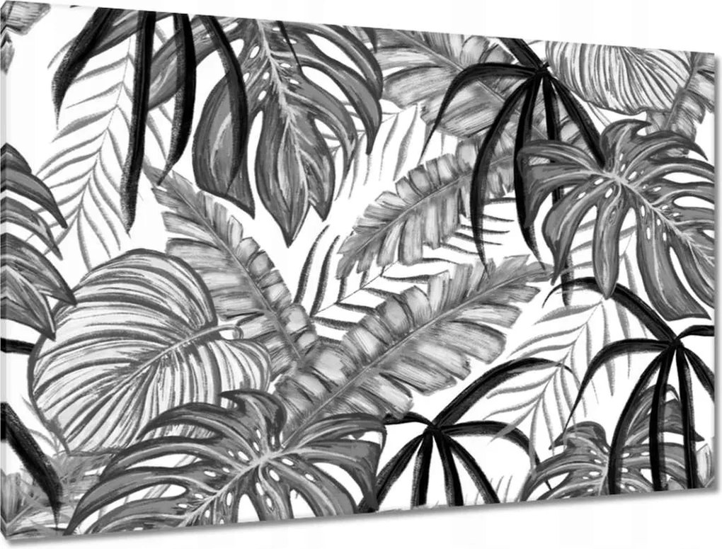 Vászonkép 120x80 Monstera Zöld levél