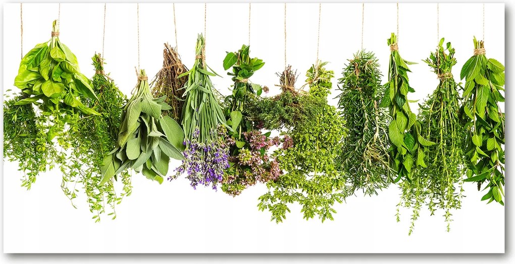 Fotó-üvegkép Gyógynövények a zsinóron 140x70