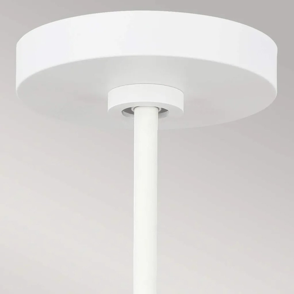 Feiss DARWIN FE-DARWIN-P Függőlámpa 1x60W/E27