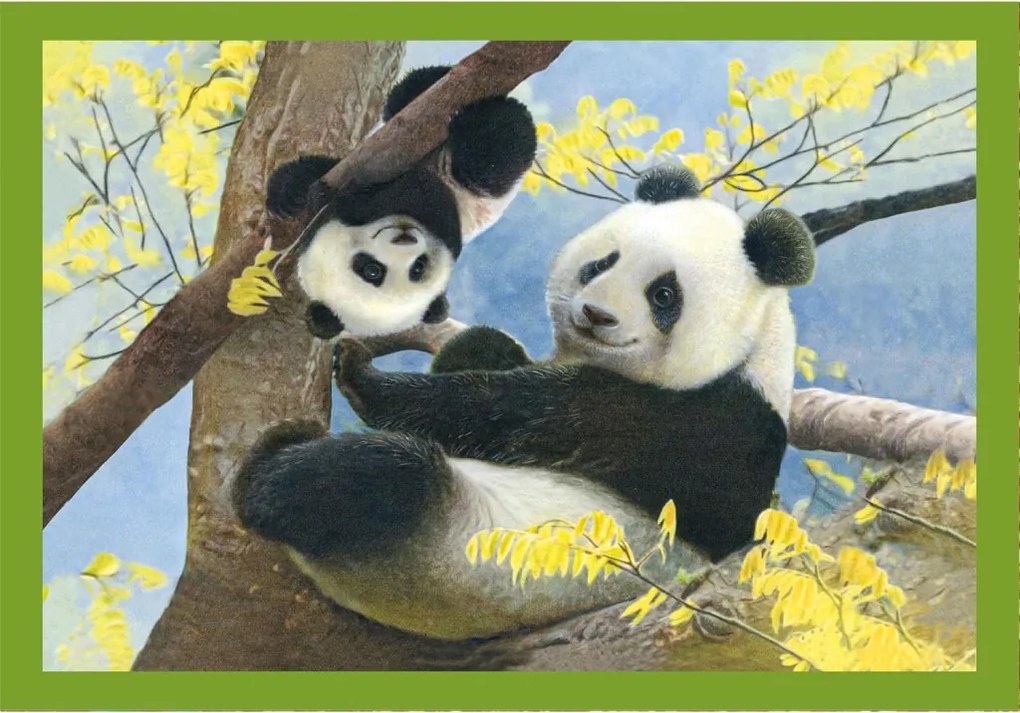 Állatos Baby Cuddles 4 az 1-ben puzzle Clementoni