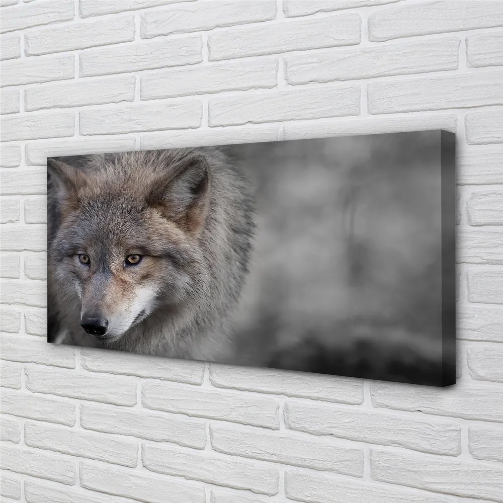 Canvas képek Farkas 125x50 cm