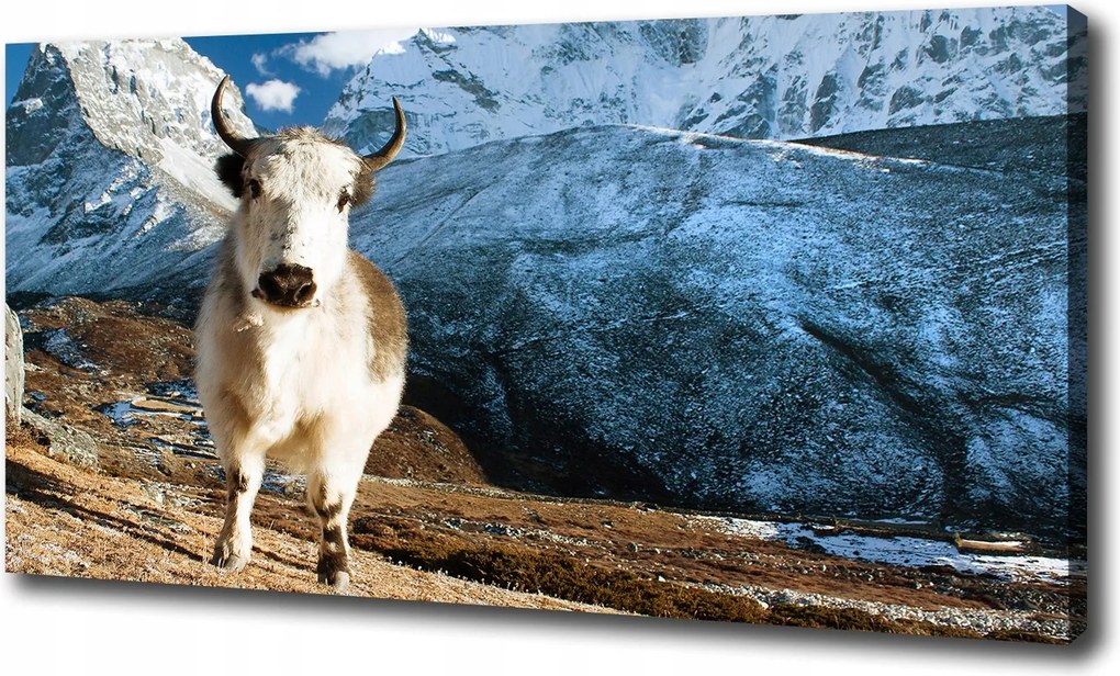 Canvas falikép Mint a hegyek 100x70 cm