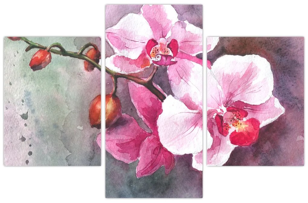 Kép - Orchideák, akvarell (90x60 cm)