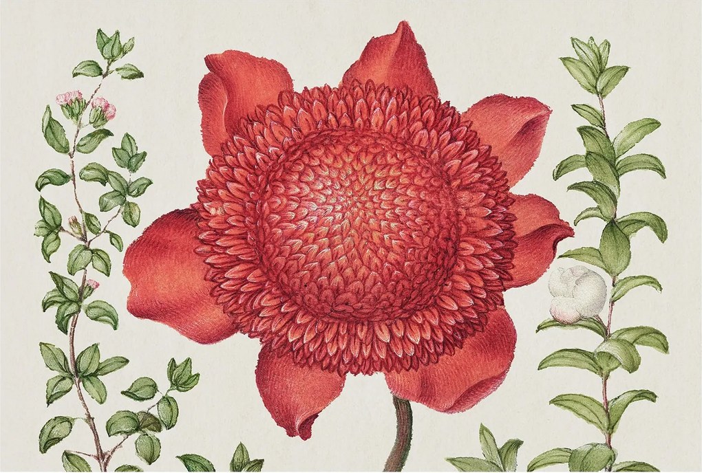 Fali fotótapéta előszoba konyhába Virágos elegancia 104x70 Ragasztó