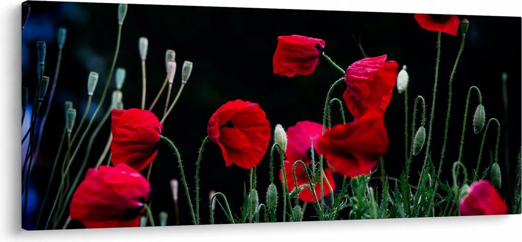 Kép - Pipacsok tánca (120x50 cm)