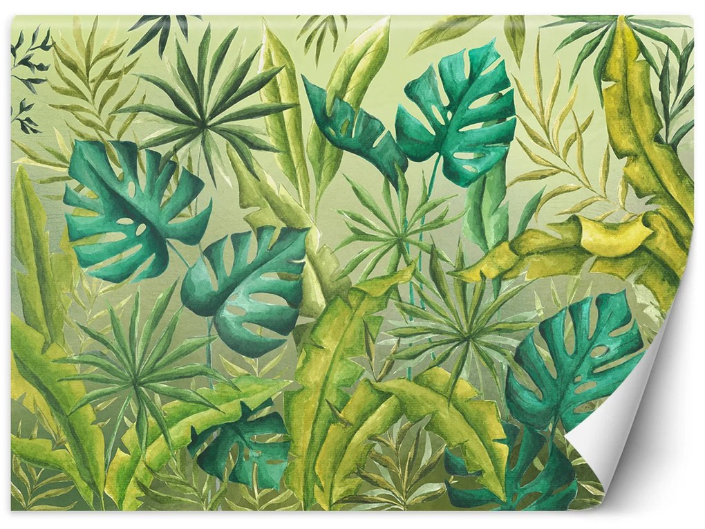 Gario Fotótapéta Zöld monstera zöld alapon Anyag: Vlies, Méret: 100 x 70 cm