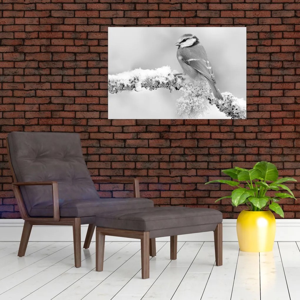 Kép - Egy madár egy ágon (90x60 cm)