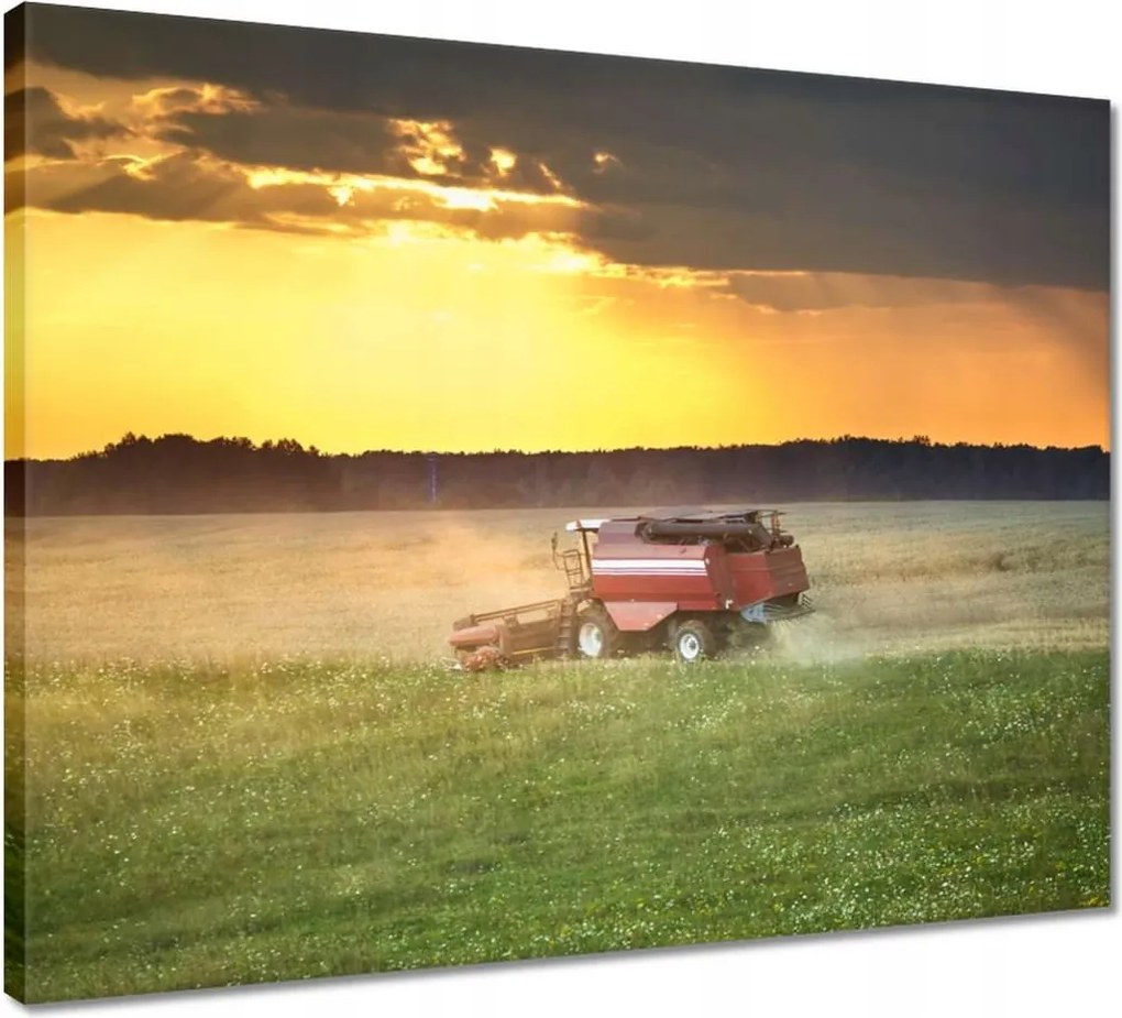 Vászonkép 50x40 Kombájn kaszálja az arany gabonát