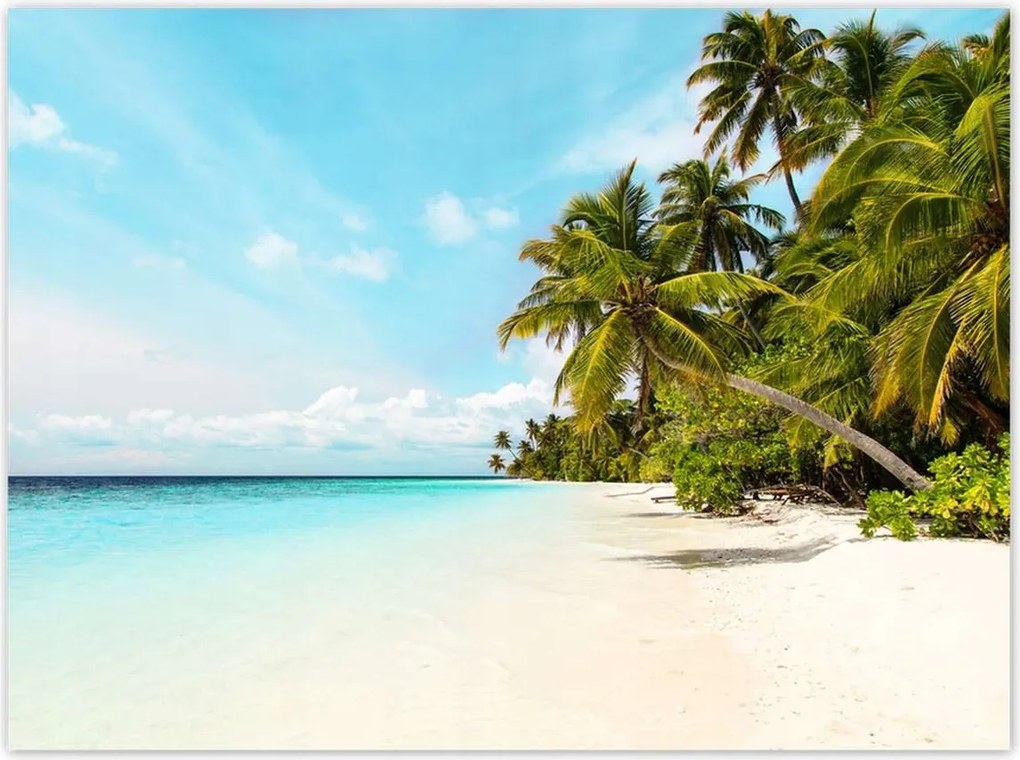 Poszterek 135x100 Trópusok Tájkép Pálmafák