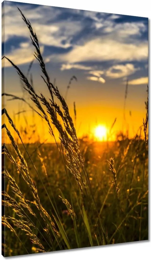 Vászonkép 60x90 Naplemente a füvek között