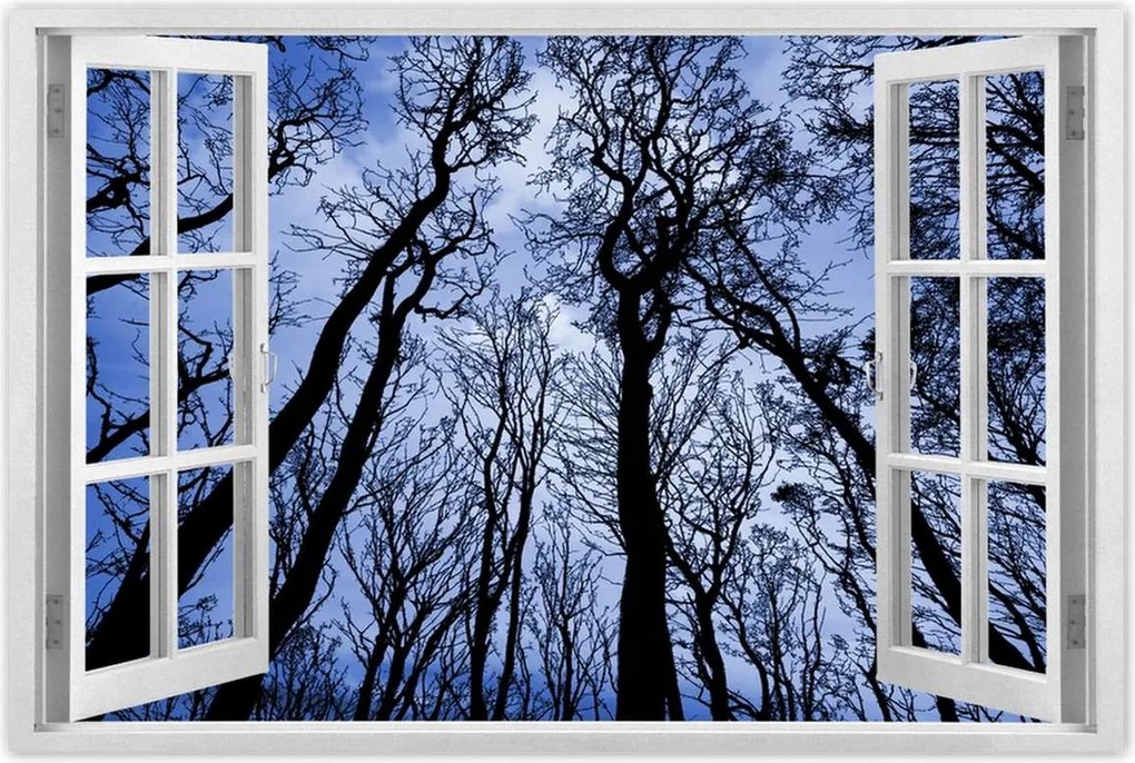 Poszterek 120x80 Erdő Fák Kilátás alulról