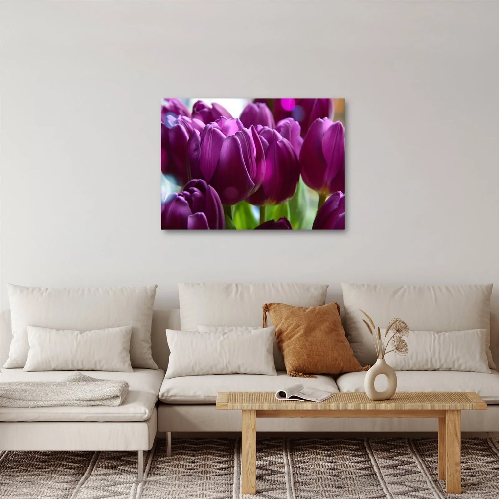 Tulipán képe (70x50 cm)