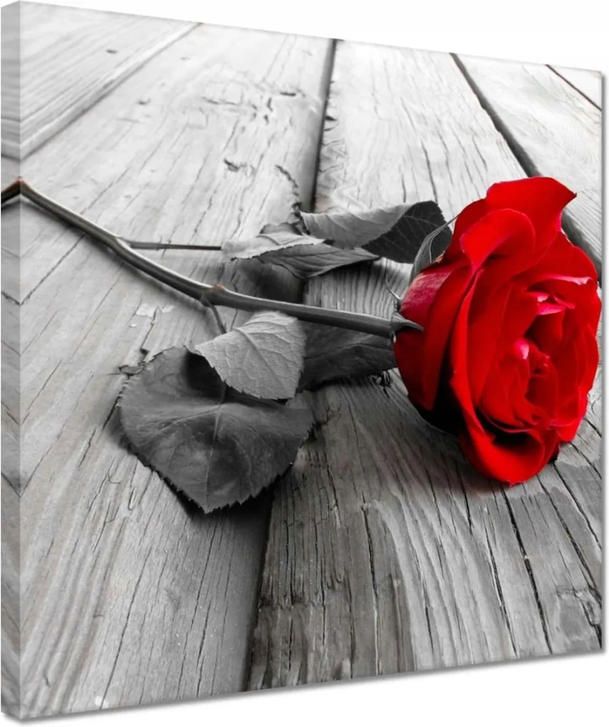 Vászonkép 30x30 Vörös rózsa a deszkákon