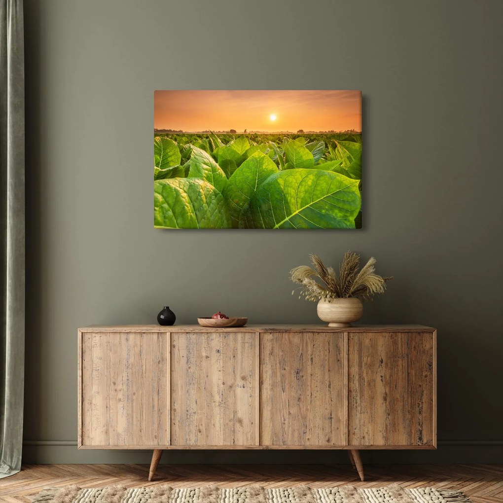 Kép - Mező (90x60 cm)