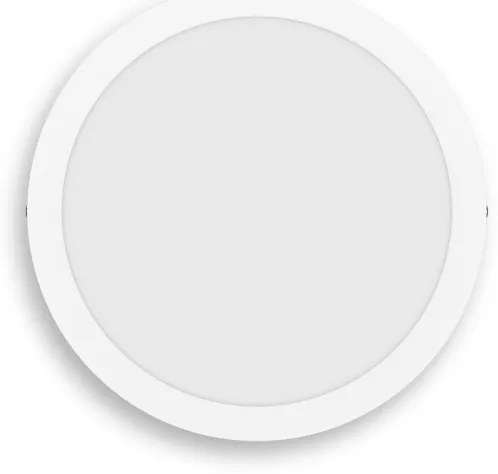 Philips - LED Mennyezeti lámpa MAGNEOS LED/12W/230V 2700K fehér