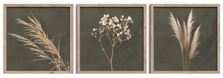 Kép szett 3 db-os 30x30 cm Pampas – Styler
