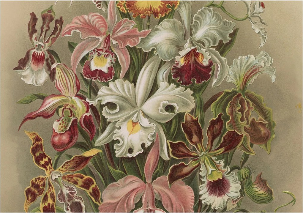 Fotótapéta Flizelin Design Divatos Virágos elegancia 312x219 Ragasztó