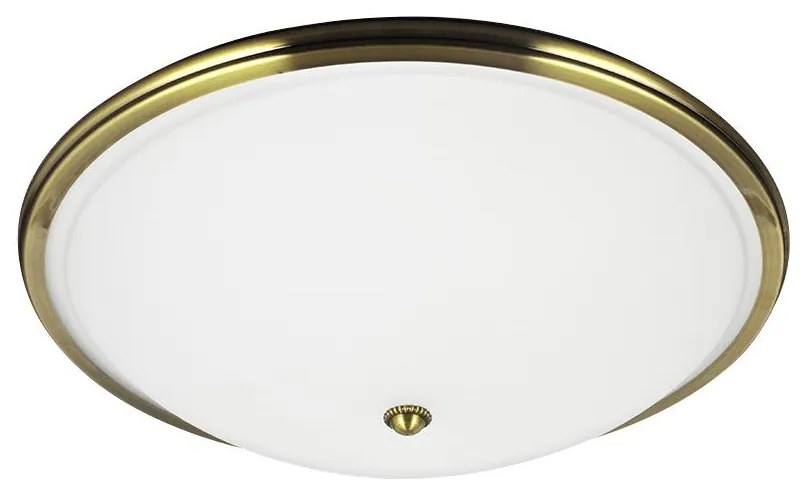 Mennyezeti lámpa VIOLA 2xE27/40W/230V