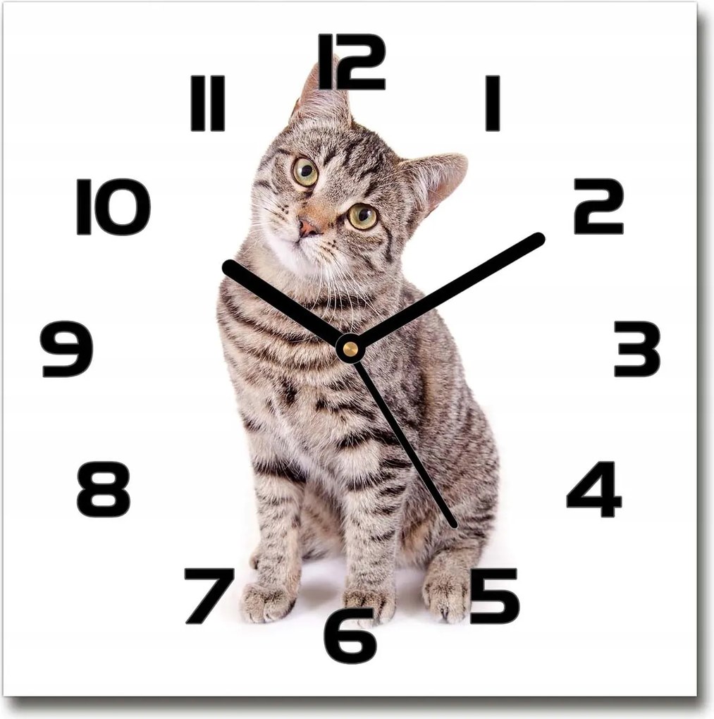 Gyönyörű üveg falióra, ajándéknak is tökéletes Macska 30x30
