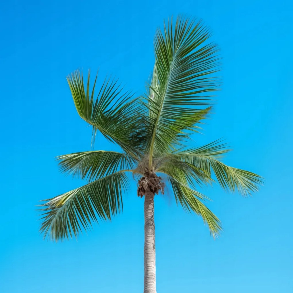 Poszter 20x20cm Égi magaslatok