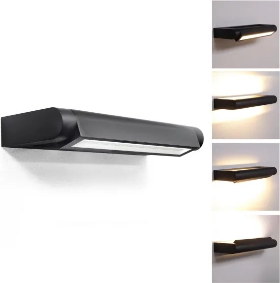 BRILAGI - SALERNO LED kültéri fali lámpa LED/12W/230V 35,5 cm fekete IP65