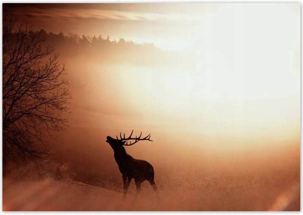 Poszterek 100x70 Szarvas az erdő szélén
