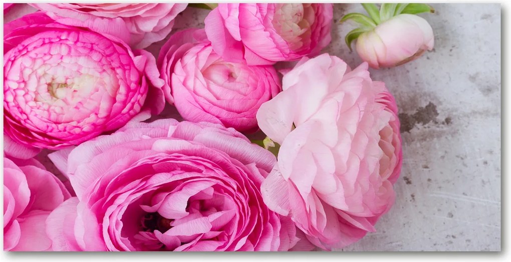 Fotó kép edzett üveg Vad rózsák 140x70