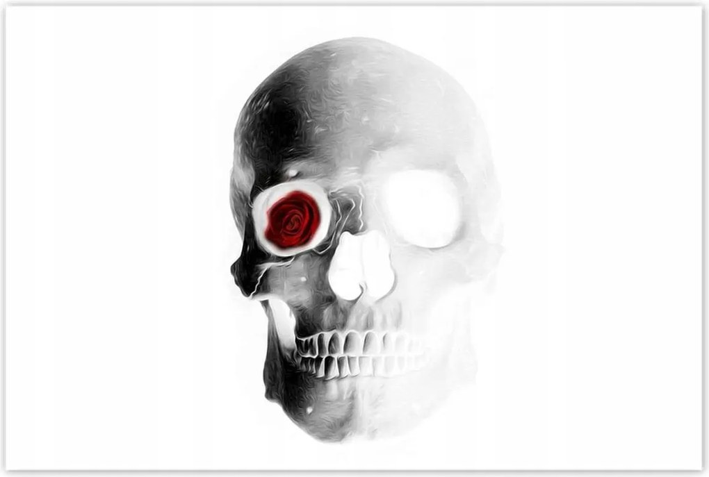 Poszterek 120x80 Koponya rózsával Rózsa