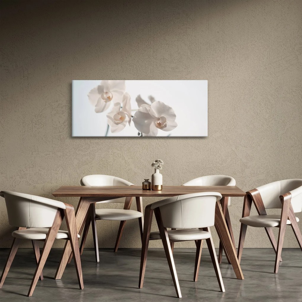 Fehér orchidea képe (120x50 cm)