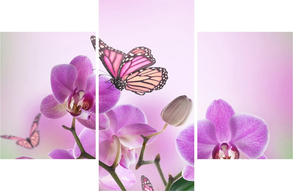 Kép - Pillangó orchidea virágon, lila (90x60 cm)