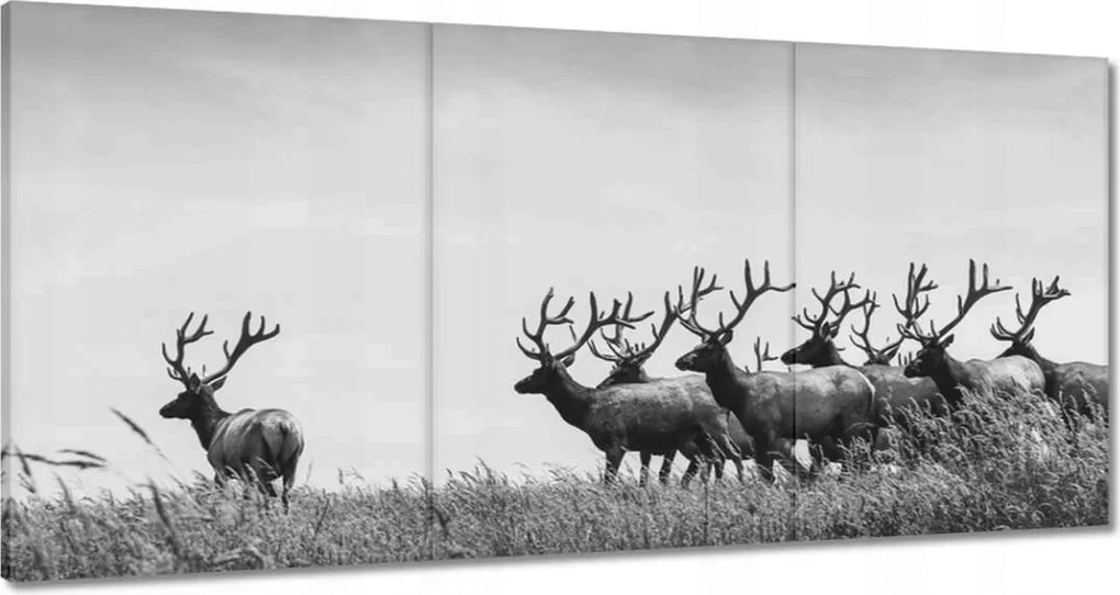 Vászonkép 180x90 Szarvascsorda Felszarvazott