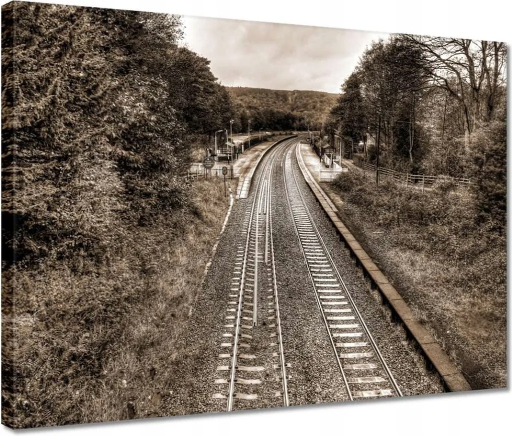 Vászonkép 40x30 Tóra szépia fotó