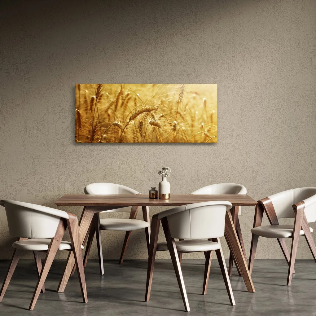 Kép - Gabonafül (120x50 cm)