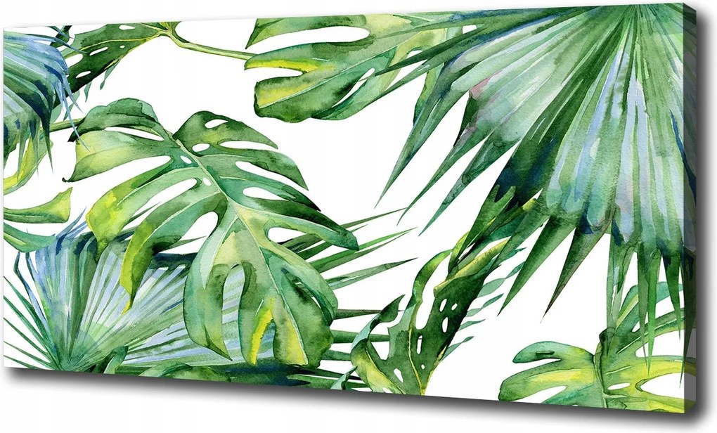 Vászonkép Trópusi levelek 100x70 cm