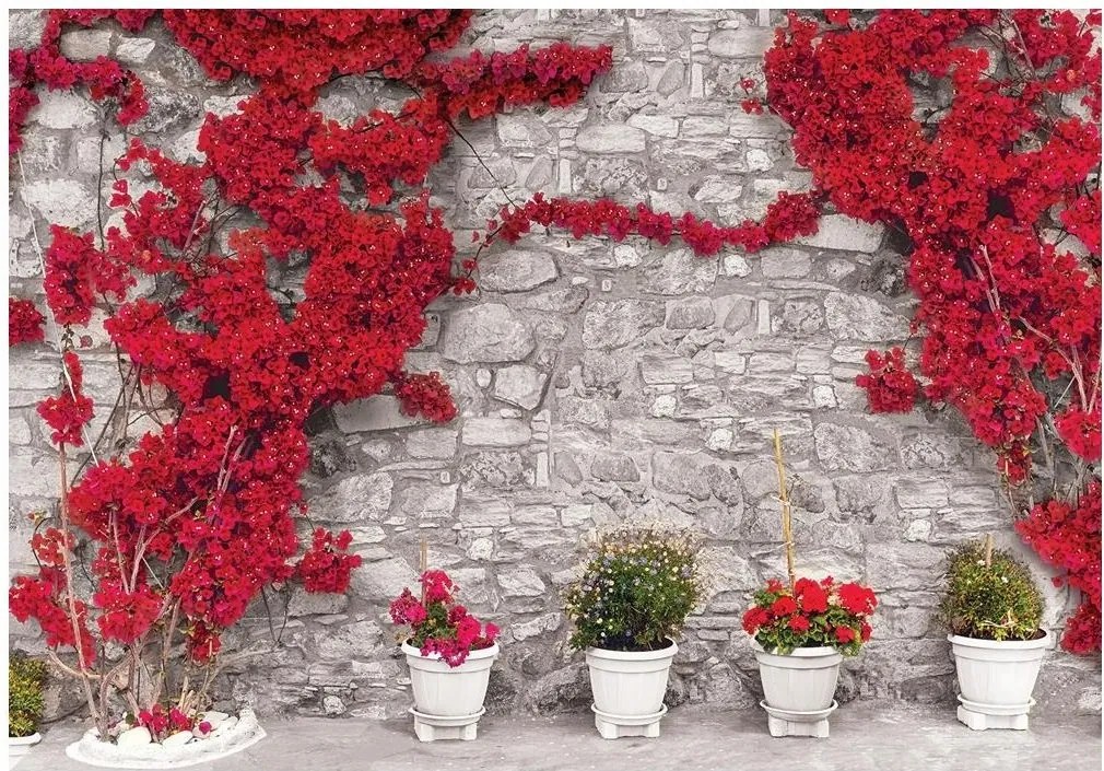 Fotótapéta virág fal fotótapéta 208 x 146