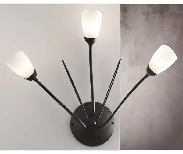 Jupiter 2059 - GLORIOSA fali lámpa 3xG9/14W/230V fekete