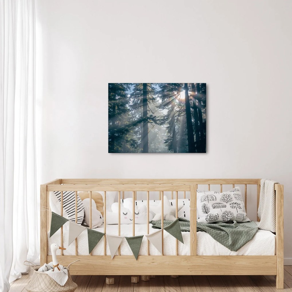Fák képe a ragyogó nappal (70x50 cm)