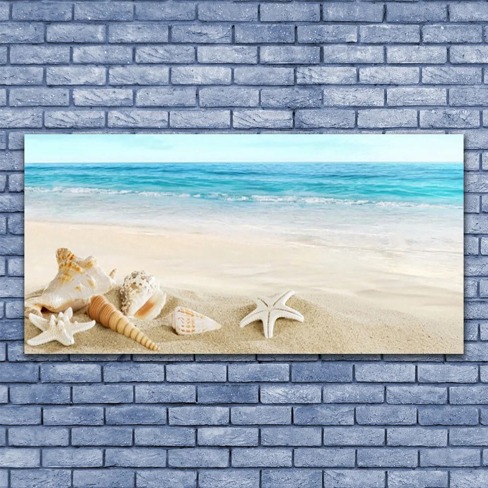 Vászonkép falra tengeri csillag kagyló 140x70 cm