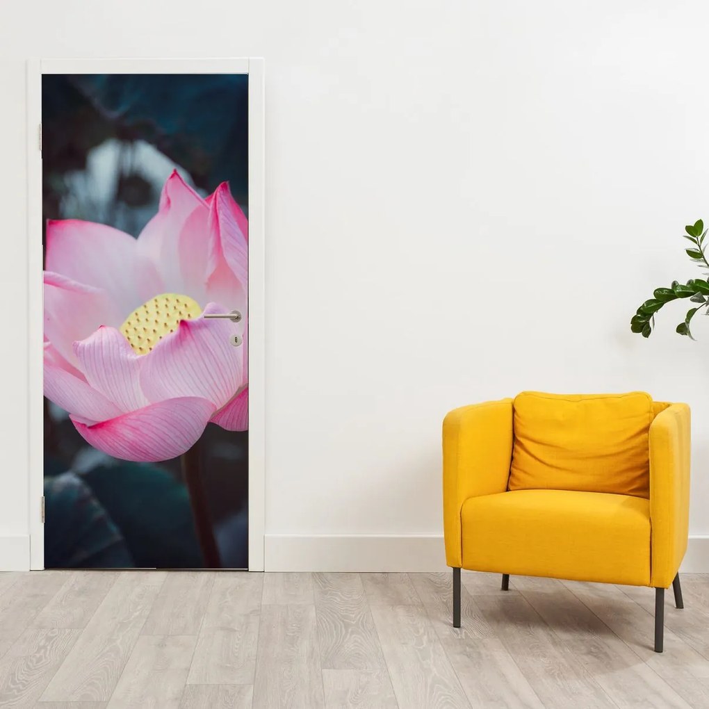 Fotótapéta ajtóra - Rózsaszín virágok (95x205cm)
