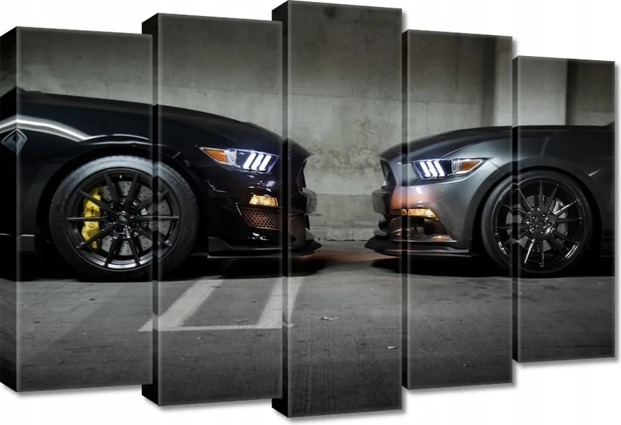 Vászonkép 70x50 Face to face Mustang