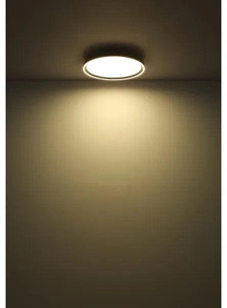 Globo 48802-48 - LED Dimmelhető mennyezeti lámpa DUBLIN LED/48W/230V + távirányító