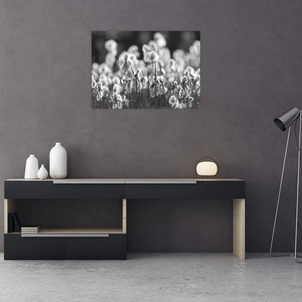 Üveg kép - Nyári rét (70x50 cm)