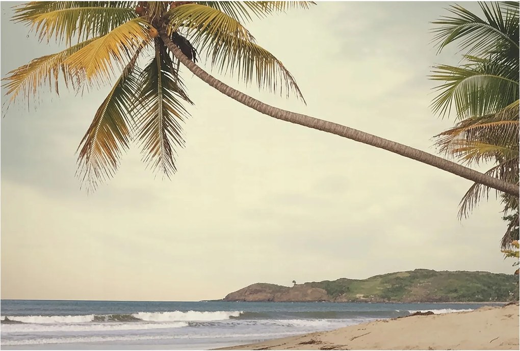 Divatos 3D Fali Tapéta Trópusi tájkép 104x70 Ragasztóval