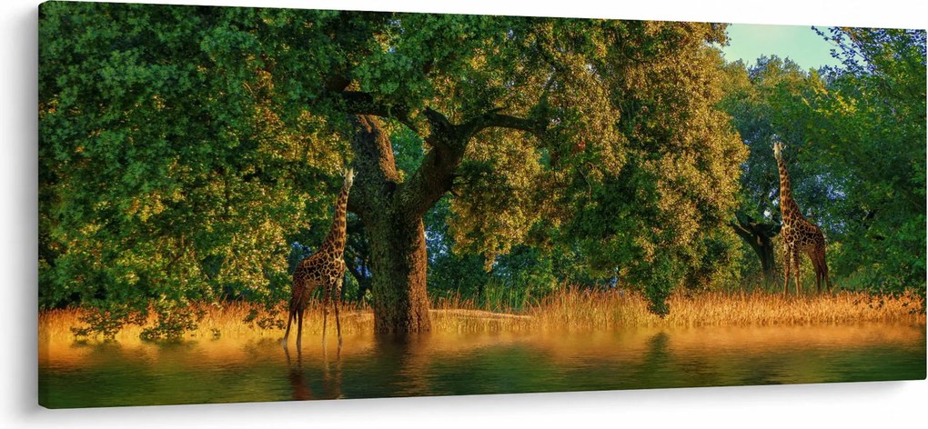 Zsiráf a természetben képe (120x50 cm)
