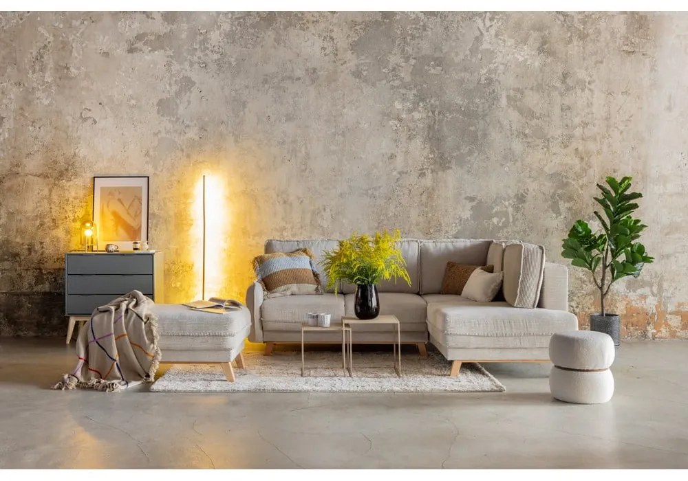 Krémszínű szőnyeg 160x230 cm Routa – Universal