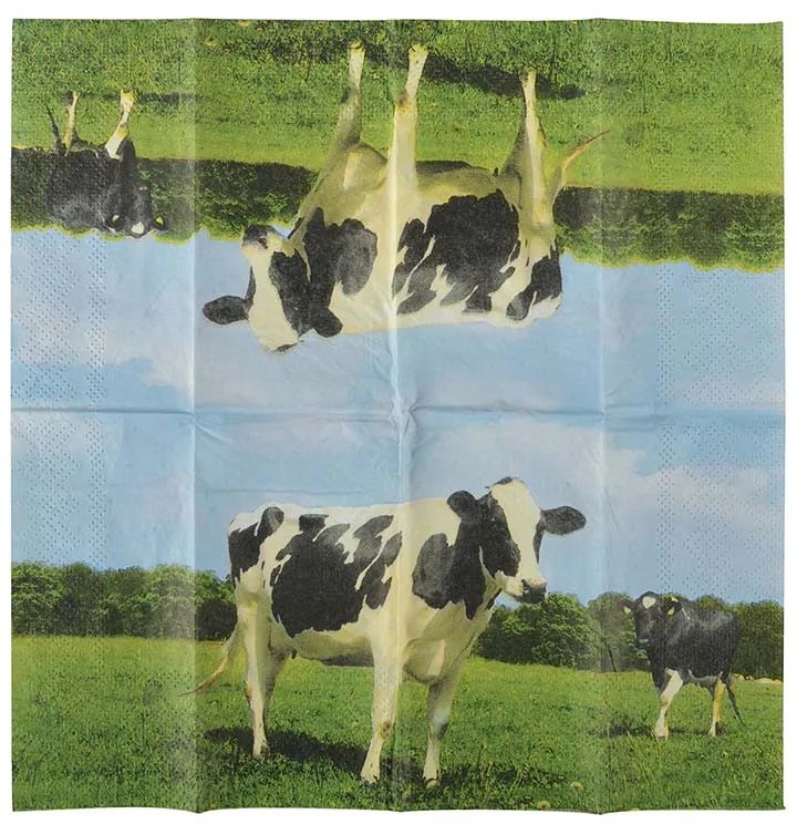 Állatmintás zsebkendő, bocis