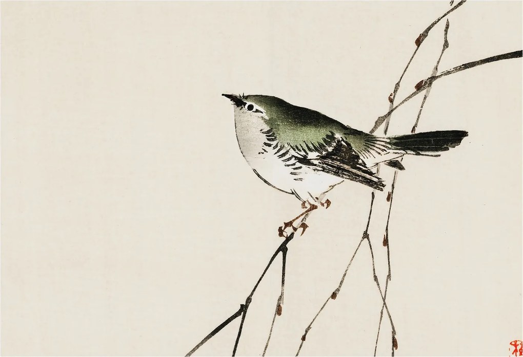 Dekoratív fotótapéta az irodába Harmonikus madár 152x104 Ragasztó