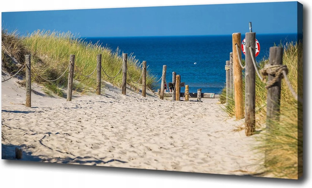 Vászonkép Tengerparti dűnék 100x70 cm
