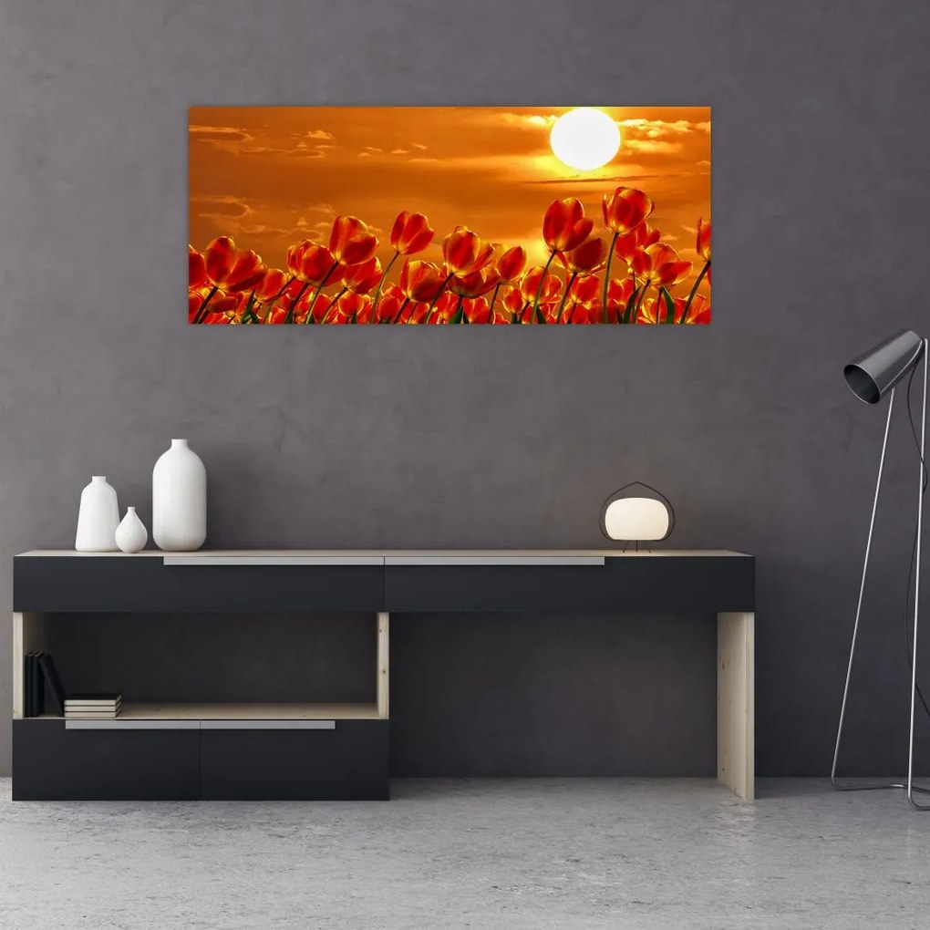 Kép egy virágzó mező tulipánokkal (120x50 cm)